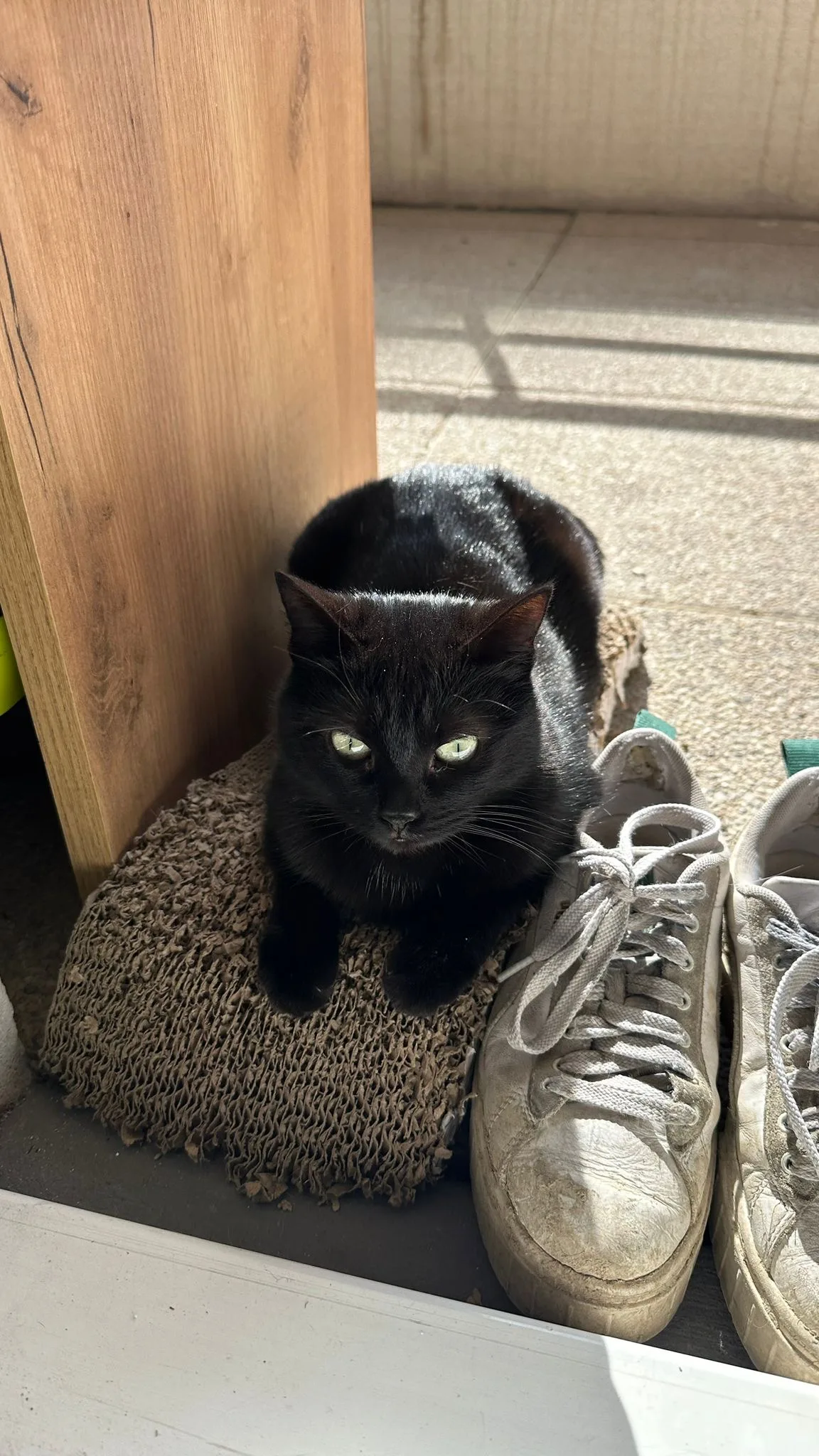 63539124-83d7-4f88-991b-fe68302ed554