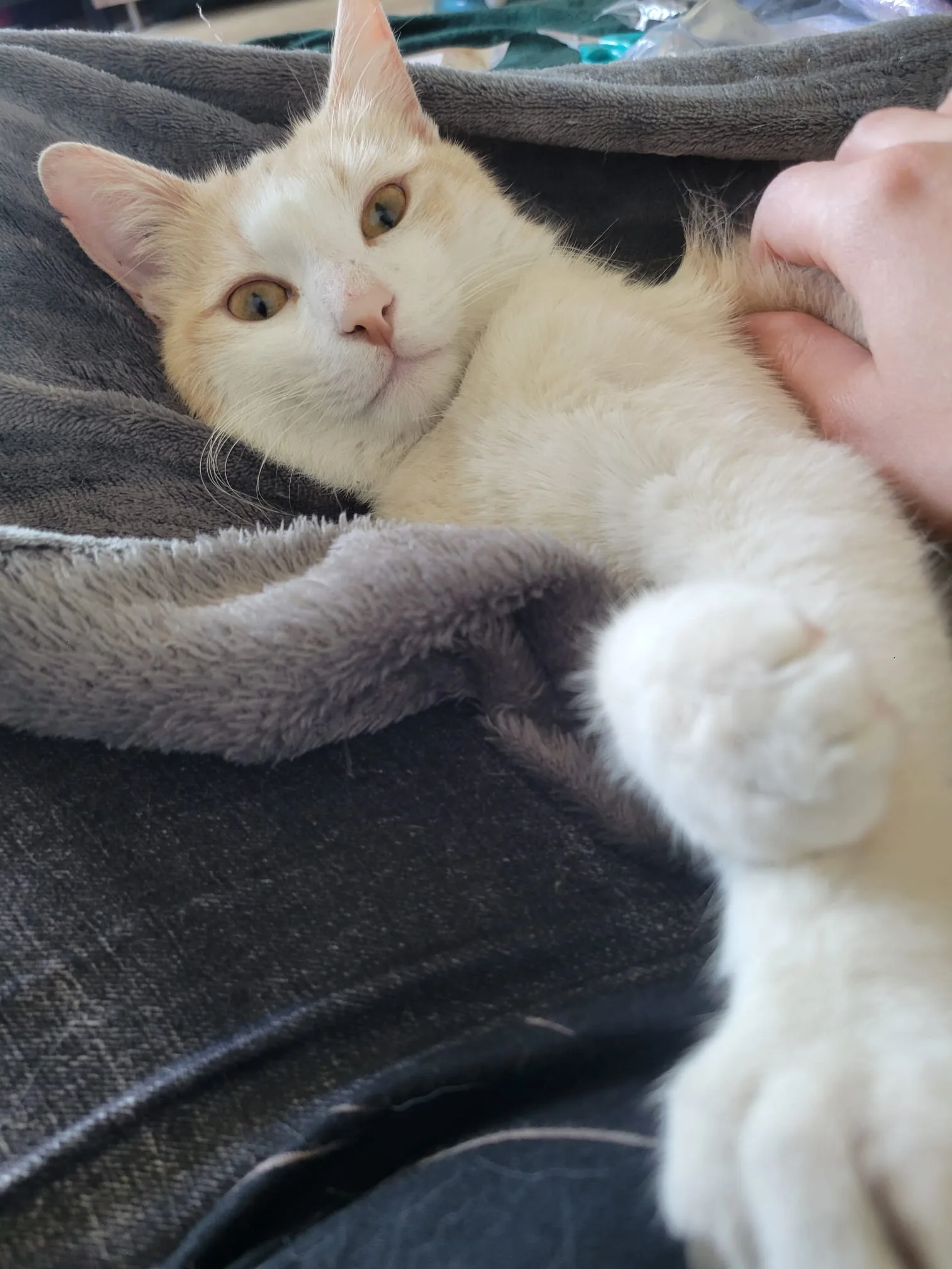 PHOTO-2024-04-06-14-07-46