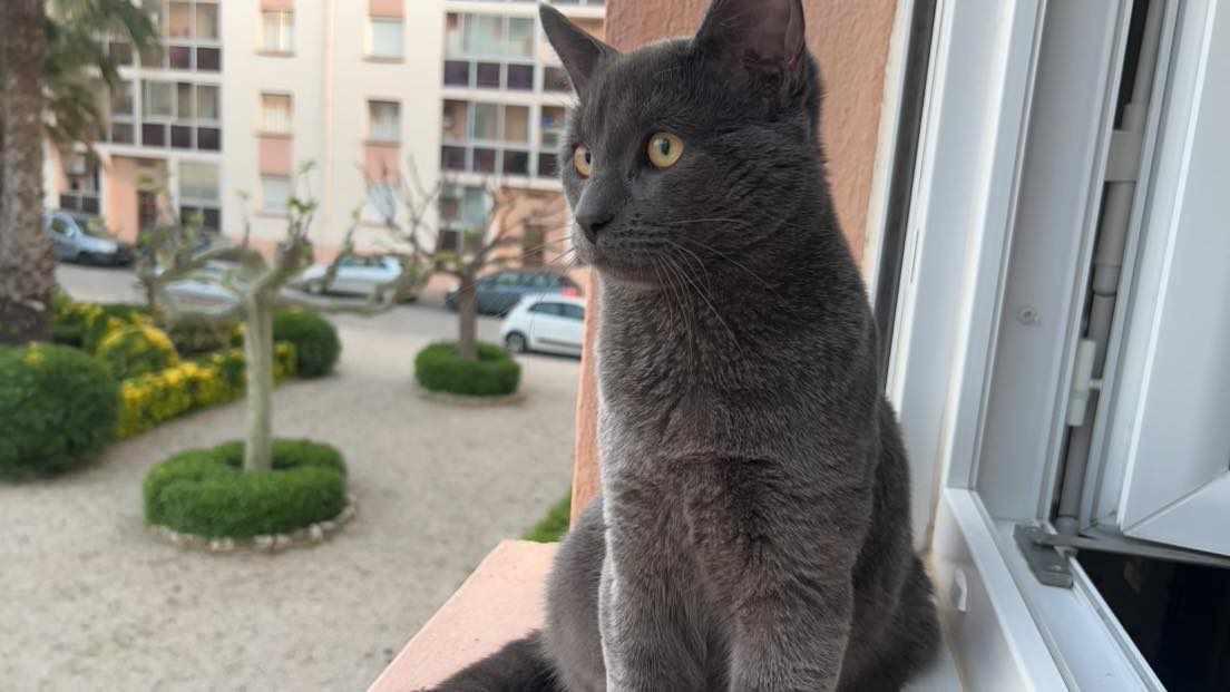 PHOTO-2024-04-25-11-54-04 2