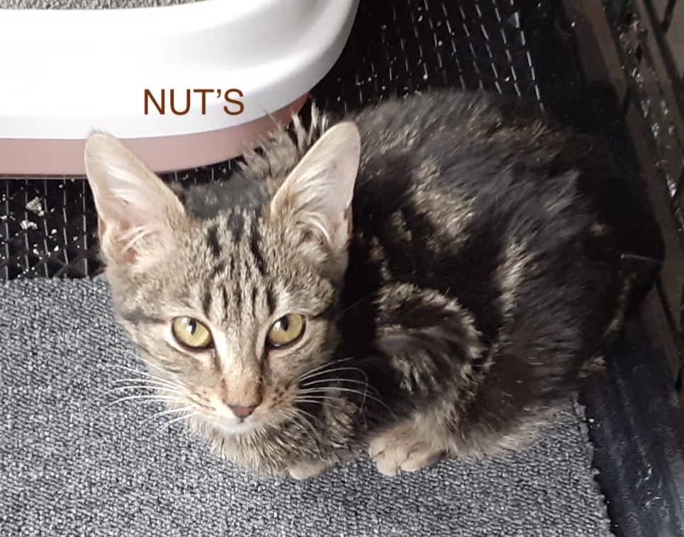 0ab03f54-db62-427c-9540-02ea27a2a491 3