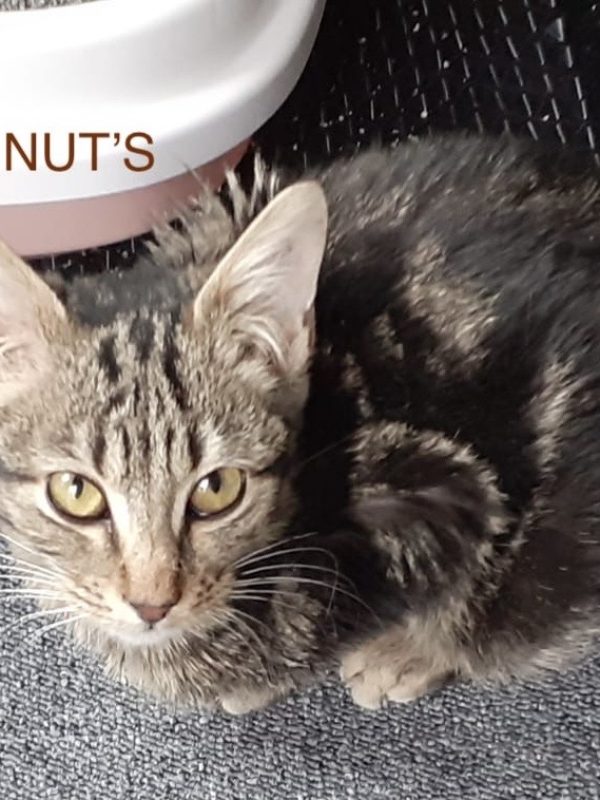 0ab03f54-db62-427c-9540-02ea27a2a491 3